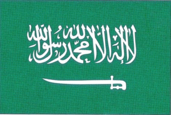 沙特阿拉伯將推出太陽(yáng)能電力幣