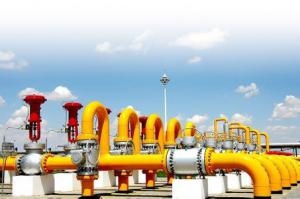 薛光林：對(duì)外依存度逐年提高 建天然氣戰(zhàn)略儲(chǔ)備勢(shì)在必行