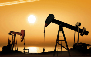 紅河州成品油流通行業協會成立