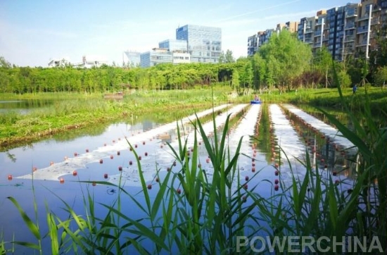 合肥市巢湖原位水質(zhì)提升試點工程順利實施