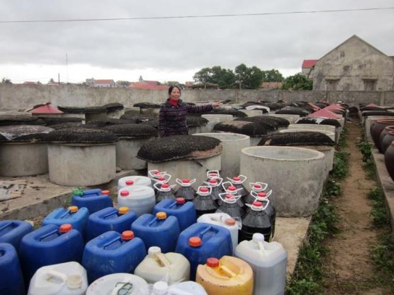 太陽能技術在魚醬生產中的應用