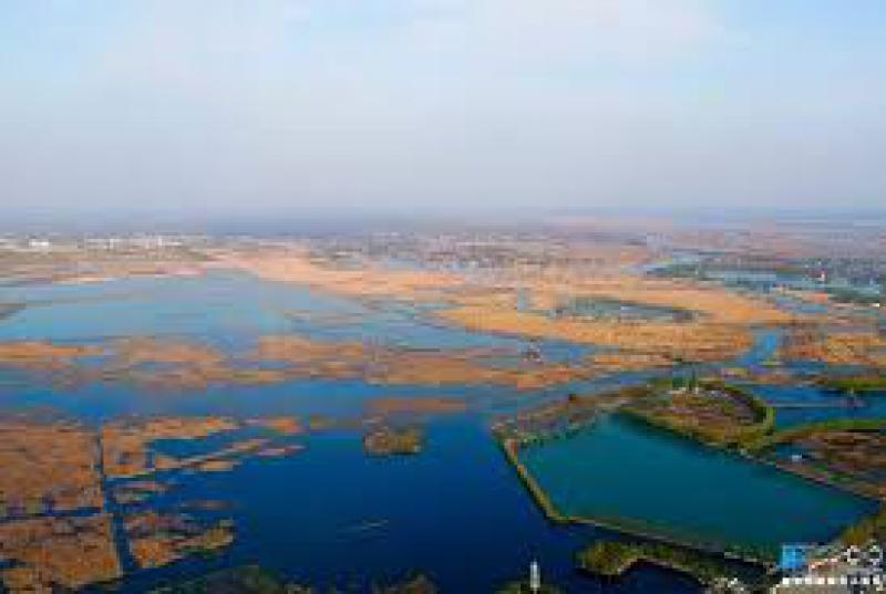 河北雄安新區(qū)將建設生態(tài)濕地凈化系統(tǒng)