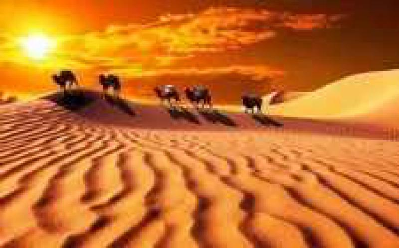 第73屆聯(lián)合國大會主席稱將繼續(xù)支持“一帶一路”倡議