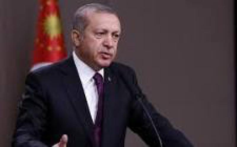 土耳其總統(tǒng)埃爾多安推出為期100天的能源計劃