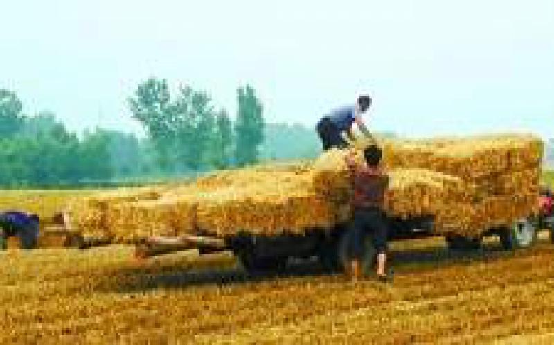 河北省秸稈綜合利用水平居全國前列