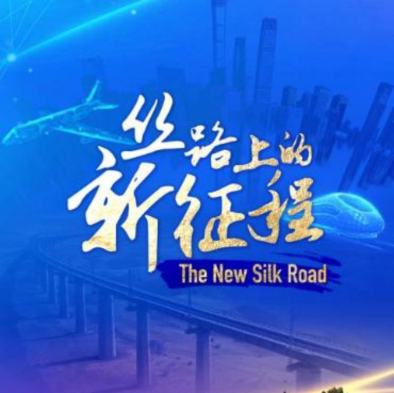中國為共建“一帶一路”國家綠色轉(zhuǎn)型“添磚加瓦”