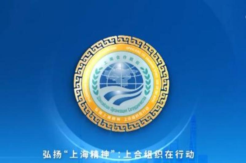 上海合作組織成員國元首理事會關于能源可持續發展的聲明