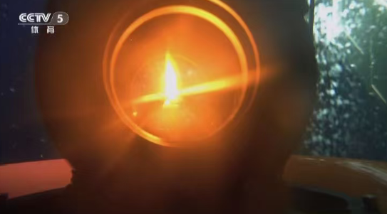 第十五屆全國運動會采用南?？扇急晒ν瓿苫鸱N采集