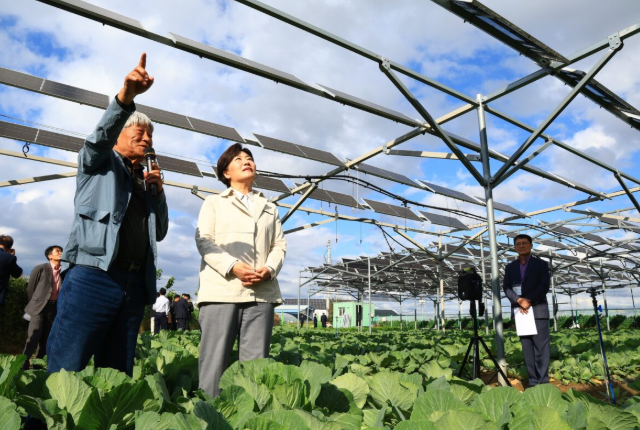 韓國(guó)推進(jìn)農(nóng)業(yè)光伏項(xiàng)目法案制定與產(chǎn)業(yè)部署