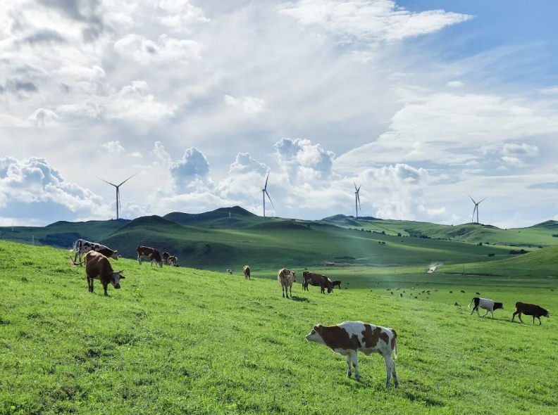 中廣核國內(nèi)風電、光伏等新能源在運裝機突破7000萬千瓦