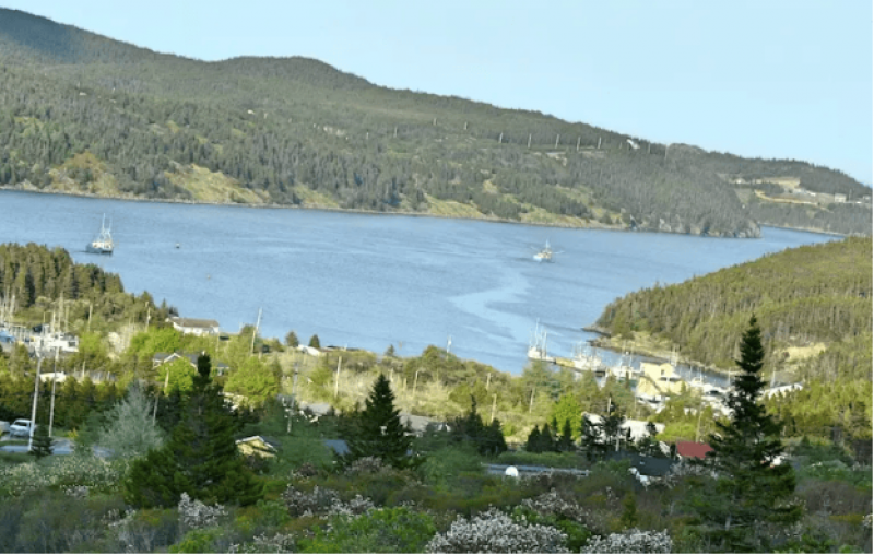 紐芬蘭液化天然氣項(xiàng)目推進(jìn) 地方經(jīng)濟(jì)關(guān)注度提升